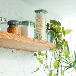 BergHOFF Leo 3Pc Smart Seal Food Container Set - Green Tools & Accessories -BergHOFF shop unnamed file 1738